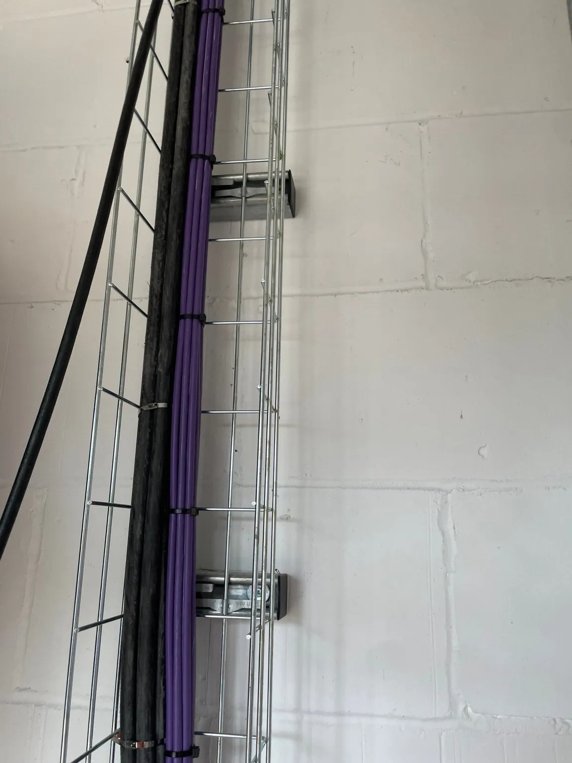 Colour-coded data cabling neatly bundled and secured along a wire cable basket run.